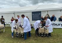 Weather impacts Royal Cornwall Show turnout 2025