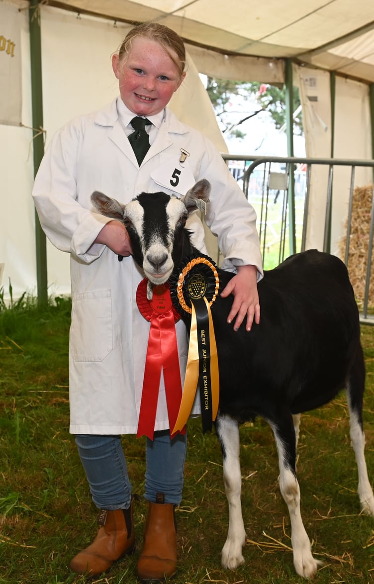 Nine year old Lily Martin of Callington had to work hard to get her British Alpine goat 'Aurora' in line who was clearly quite a character. Lily said: "We have 18 goats at home. We visited the show last year and I wanted to have a go - and it has been really good, we got a first and I won 'Best Junior Handler'. I'm really pleased."
