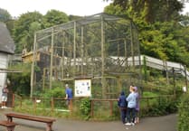 Wild Futures confirms Monkey Sanctuary closure