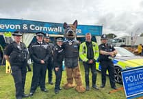 Safety first: Two arrests highlight police efforts at Royal Cornwall Show
