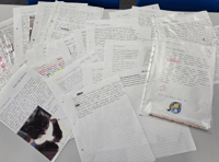 Putting language skills to the test with new pen pal project