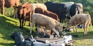 Farmer calls for stricter fines amid increased fly-tipping incidents