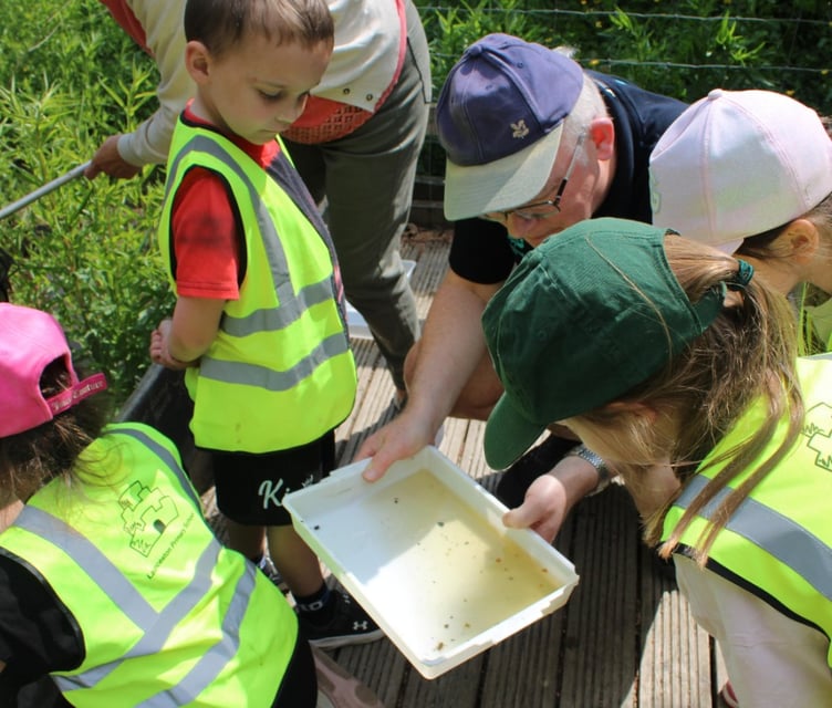 Launceston Primary Cothele