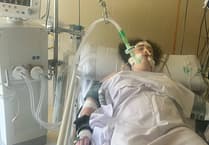 Help bring Launceston vet nurse home