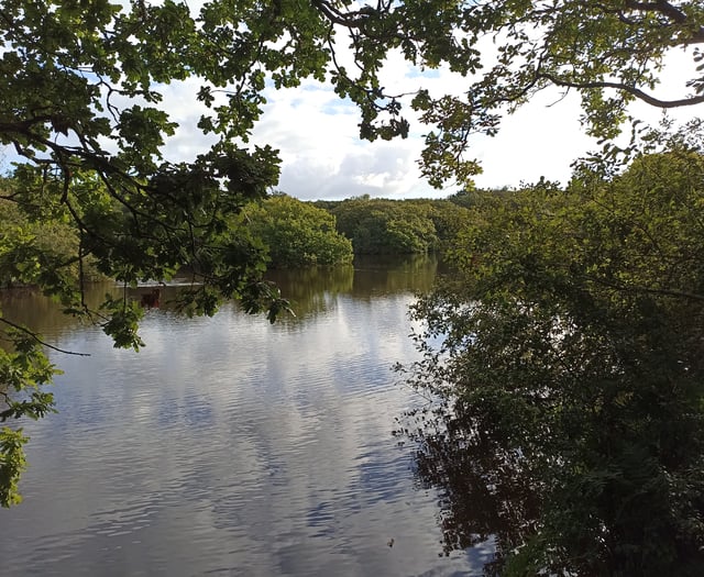 Henwyn tyller/Cornish place names: Hal Gors (Redmoor)