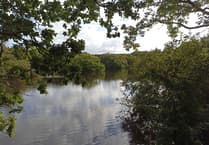 Henwyn tyller/Cornish place names: Hal Gors (Redmoor)