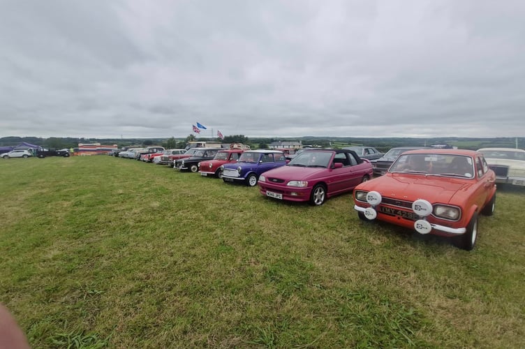 A small selection of the many vintage vehicles on display at the Holsworthy Vintage and Classic Rally (Picture: Nigel Kenneally)