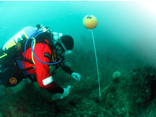 Police investigate illegal fishing activity on HMS Coronation wreck 