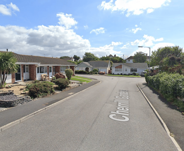 Man pleads guilty to manslaughter of 93-year-old mother