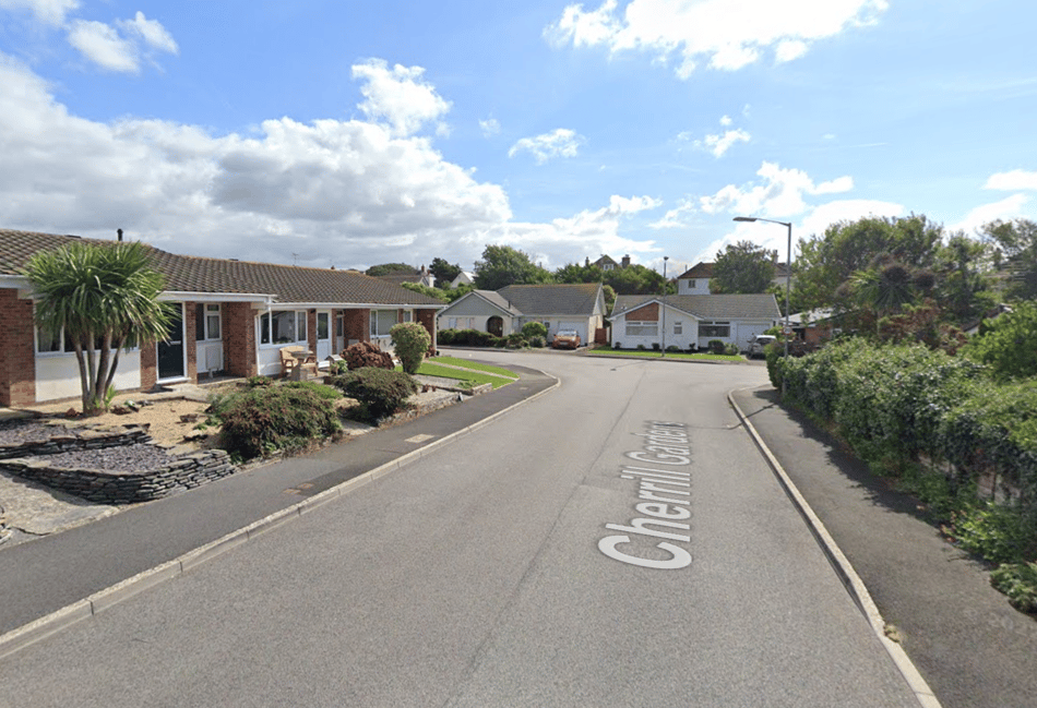 Man pleads guilty to manslaughter of 93-year-old mother