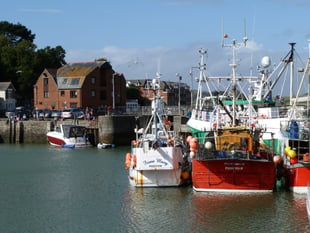 Earthshot Finalist at Padstow Harbour