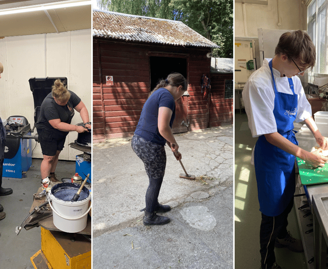 Students dive head first into diverse work experience