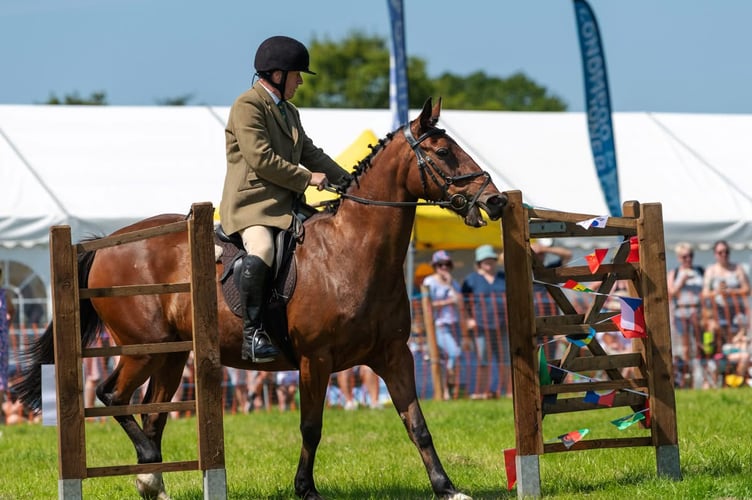 Equestrian skills on show at the Woolsery Show (Picture: Woolsery Show)