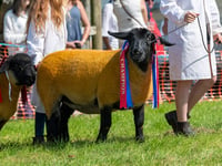 Show exhibitors warned to be vigilant amid animal virus risk 
