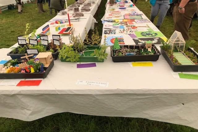 Displays at the Woolsery Show (Picture: Woolsery Show)
