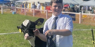 Liskeard Show continues to get 'bigger and better' by the year