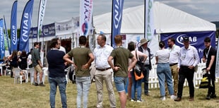 Innovation could solve fruit industry’s challenges