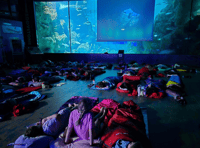 Students enjoy sleepover at the UK's largest aquarium