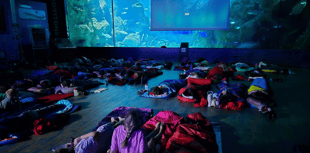 Students enjoy sleepover at the UK's largest aquarium