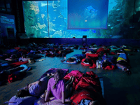 Students enjoy sleepover at the UK's largest aquarium