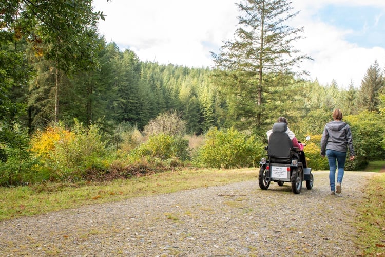 Around the World in 80 Days is coming to Cardinham Woods.