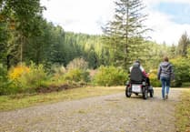 Half-term fun set to arrive at Cardinham Woods