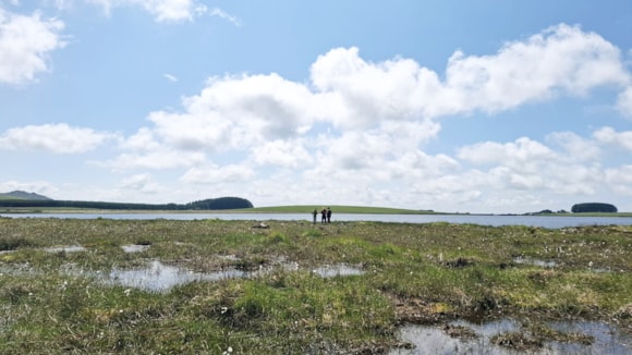 Nature returns to Crowdy reservoir