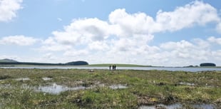 Nature returns to Crowdy reservoir