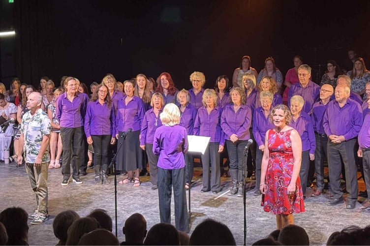 Performers at the Ever After event held at the Sterts Arts and Environmental Theatre in Upton Cross