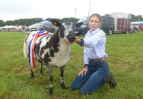 Launceston Show shines under damp grey skies