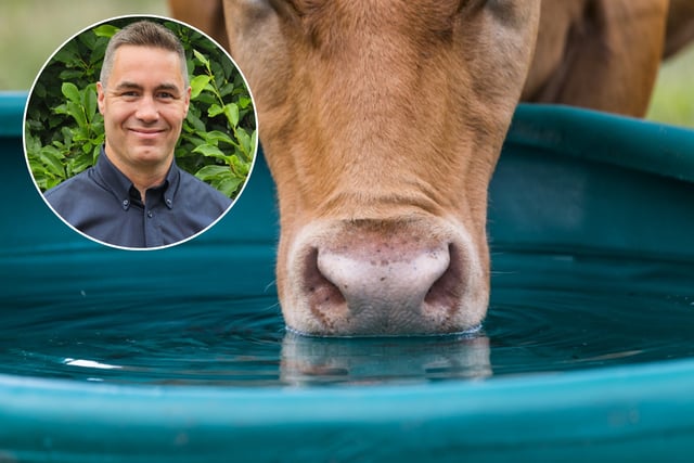 Clean water service set to boost dairy farm productivity
