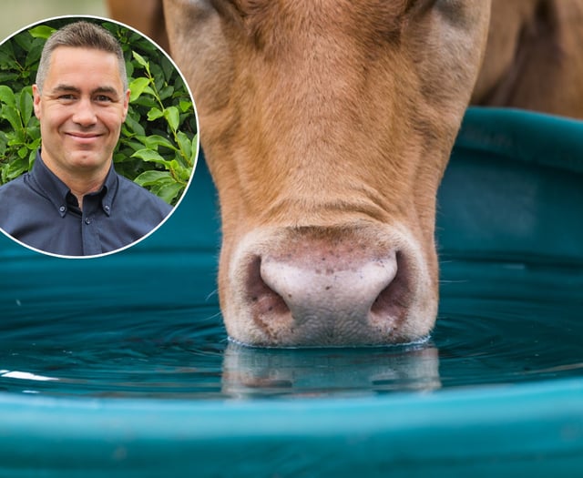 Clean water service set to boost dairy farm productivity