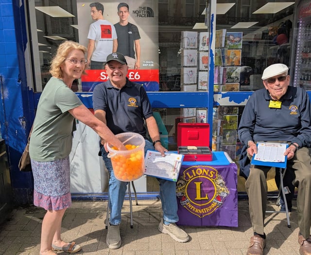 Lions raise funds for charities