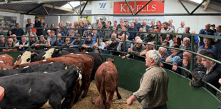 Hallworthy Livestock Market Report: Thursday, August 7