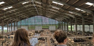 Future farm vets' hands on day at Penbode