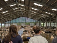Future farm vets' hands on day at Penbode