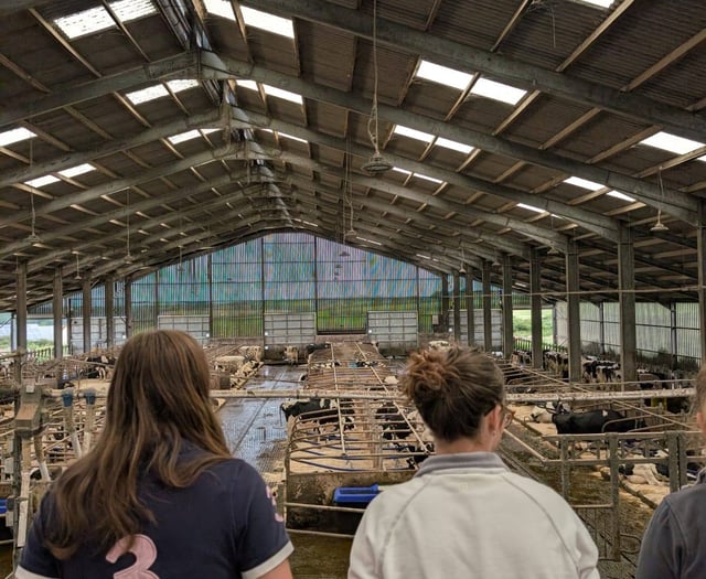 Future farm vets' hands on day at Penbode