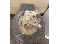 Vandalism at Callington public toilets causes flooding