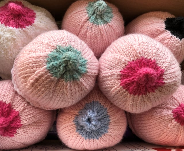 Cornwall knitters aid breastfeeding support