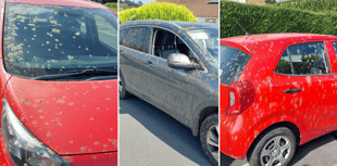 What's that smell? Truck sprays cars with unknown substance