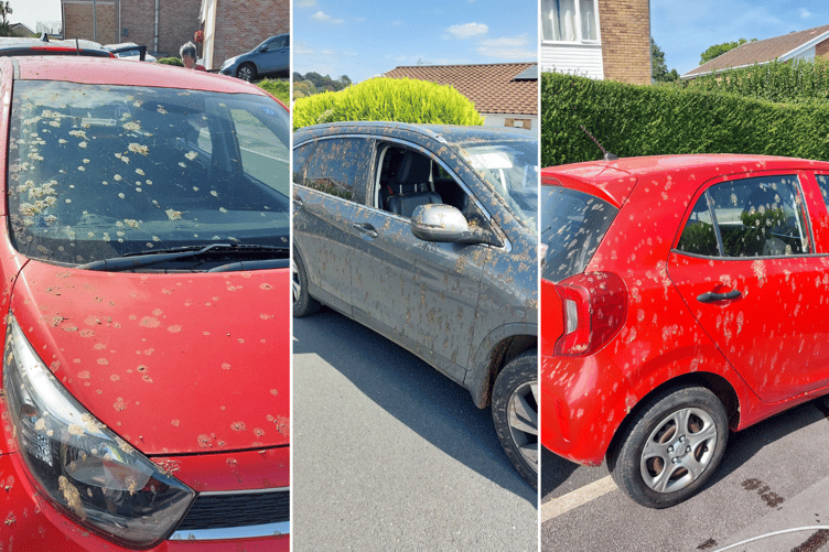Launceston Food Waste Truck Incident