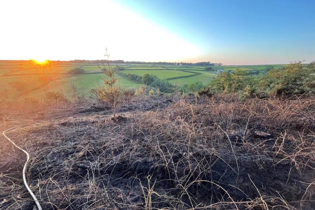Blaze tackled by six fire stations overnight
