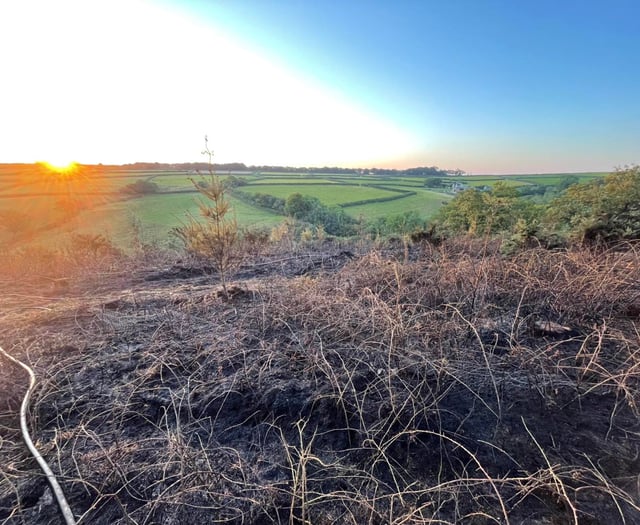 Blaze tackled by six fire stations overnight