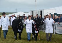 Crowds gather at Holsworthy and Stratton Show