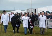 Holsworthy Show: A parade of tradition and technology
