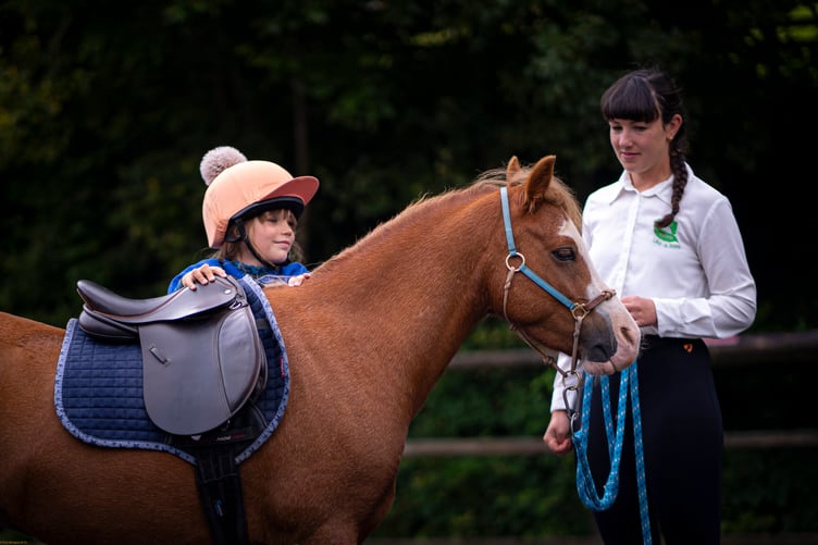 Think Like a Pony Bude