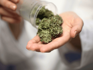 Truro ranks third in the UK for medical cannabis patients 