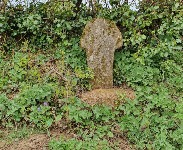 Henwyn tyller/Place names - Park an Growes 