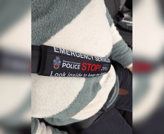 Motorists with communication needs offered free seatbelt covers