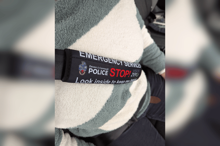 Devon and Cornwall Police Seatbelts